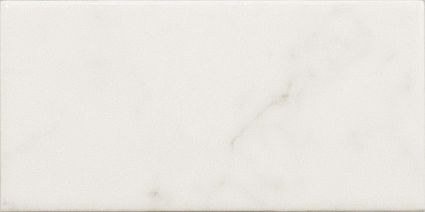 Плитка настенная CARRARA Carrara 23079 (EQUIPE)